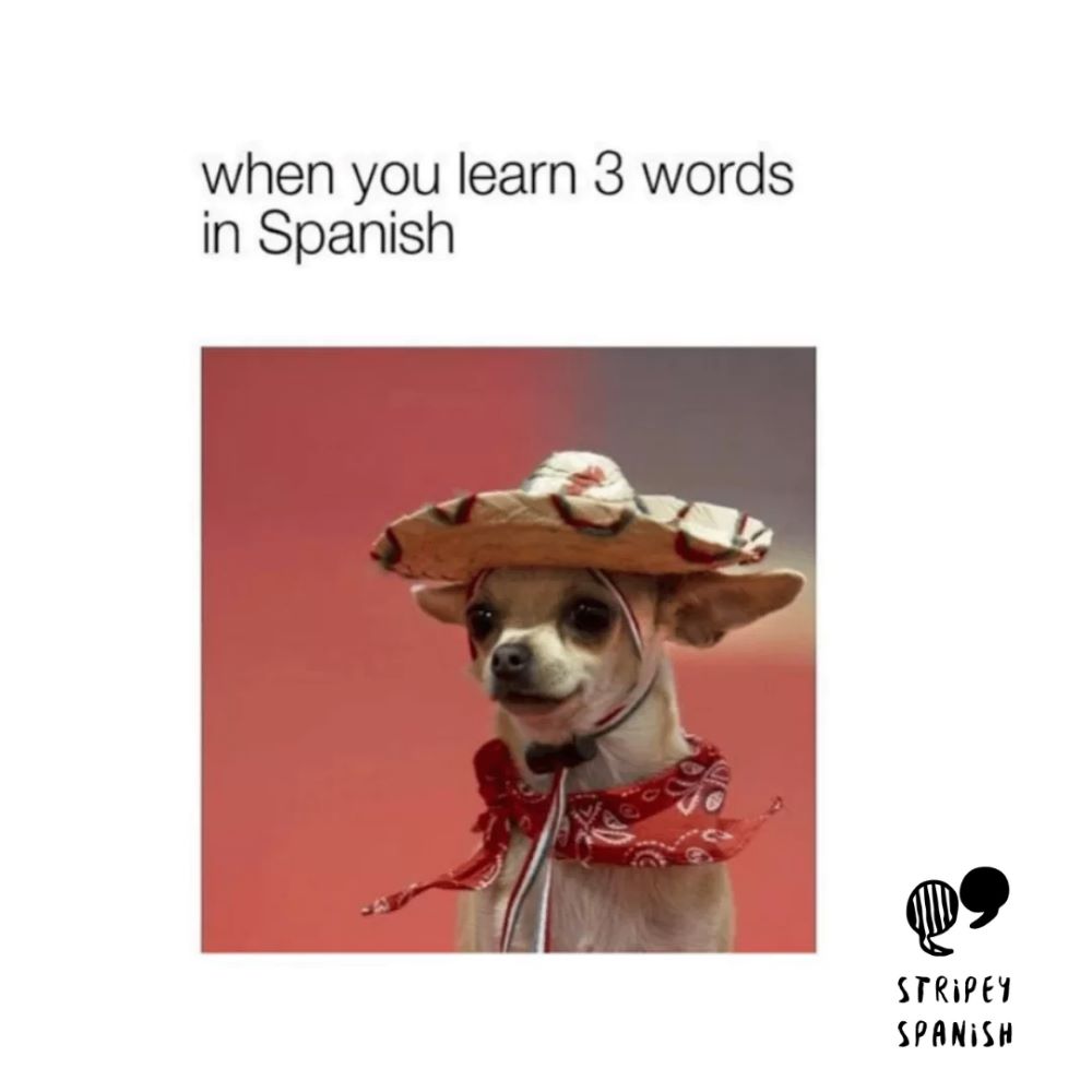 ¡Coco, un poquito loco! – język hiszpański dla dzieci, poniedziałek