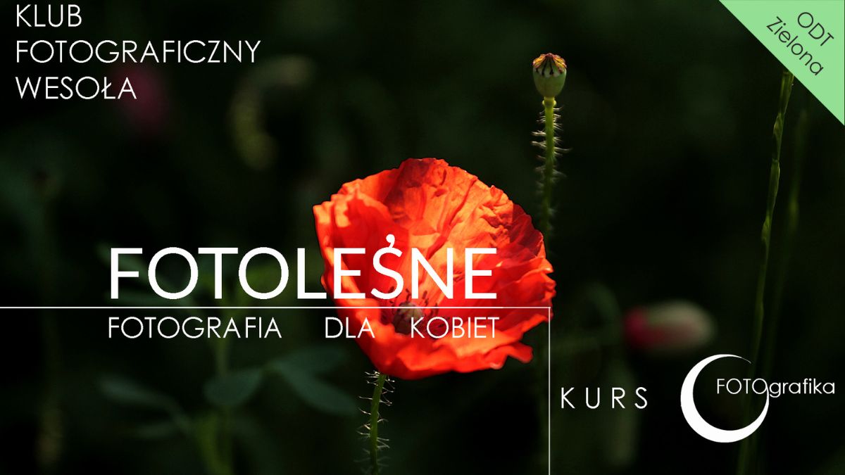 FOTOLEŚNE - Fotografia kobieca i natury (Filia Zielona)