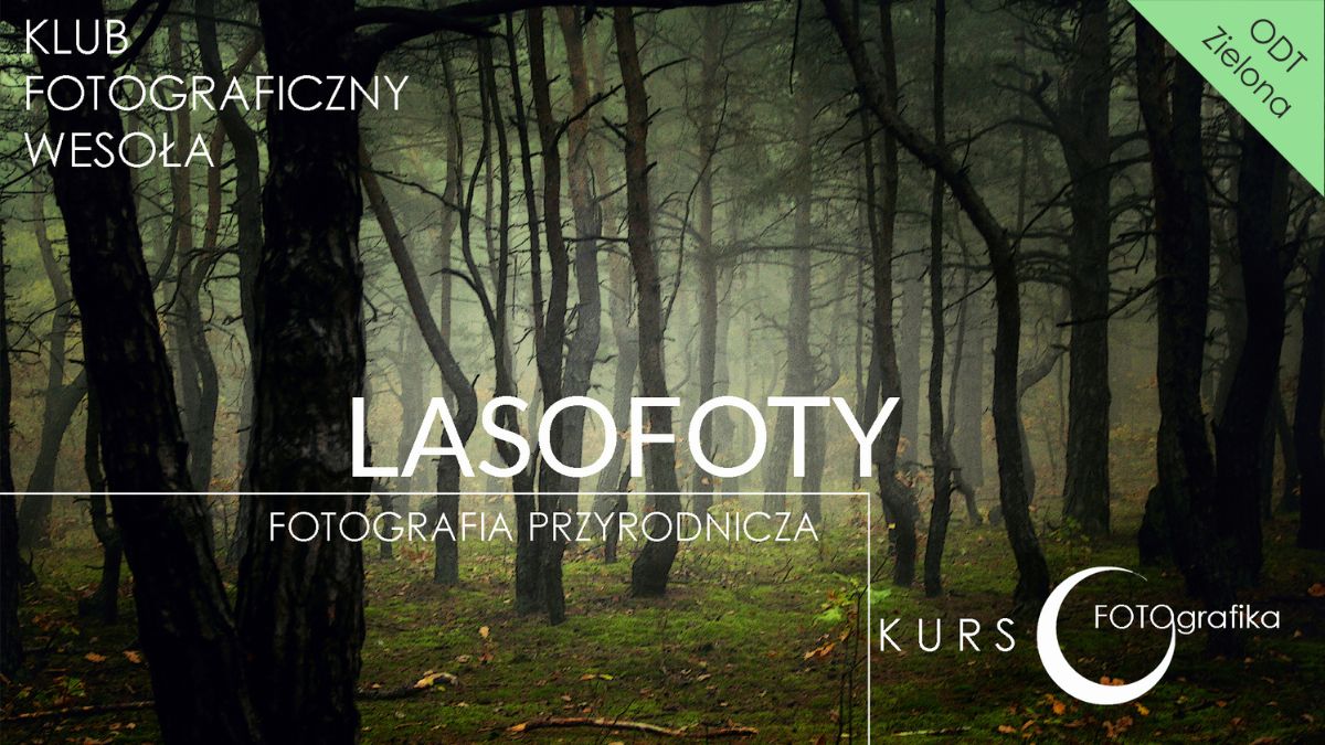 LASOFOTY - fotografia przyrodnicza