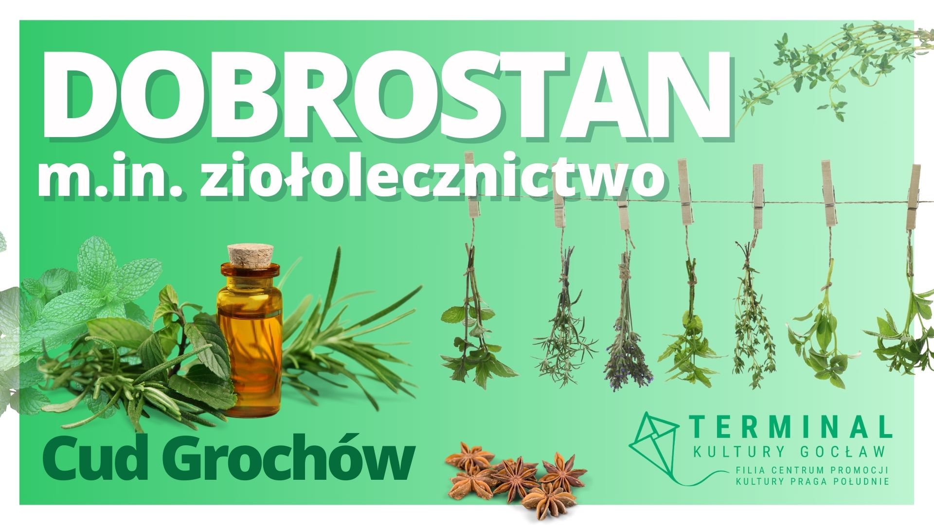 DOBROSTAN m.in. ziołolecznictwo - CUD GROCHÓW