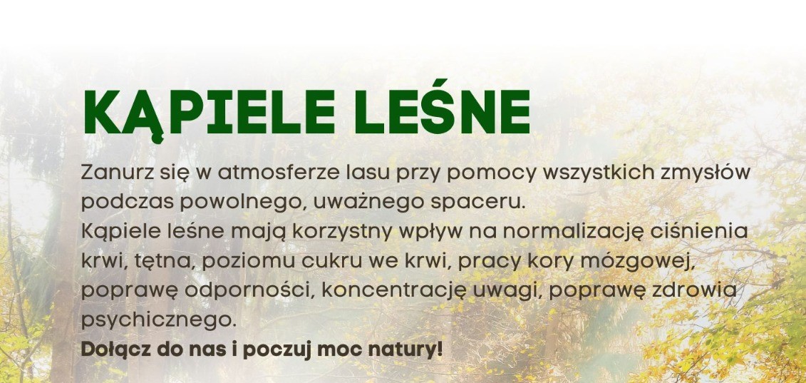 Kąpiele leśne