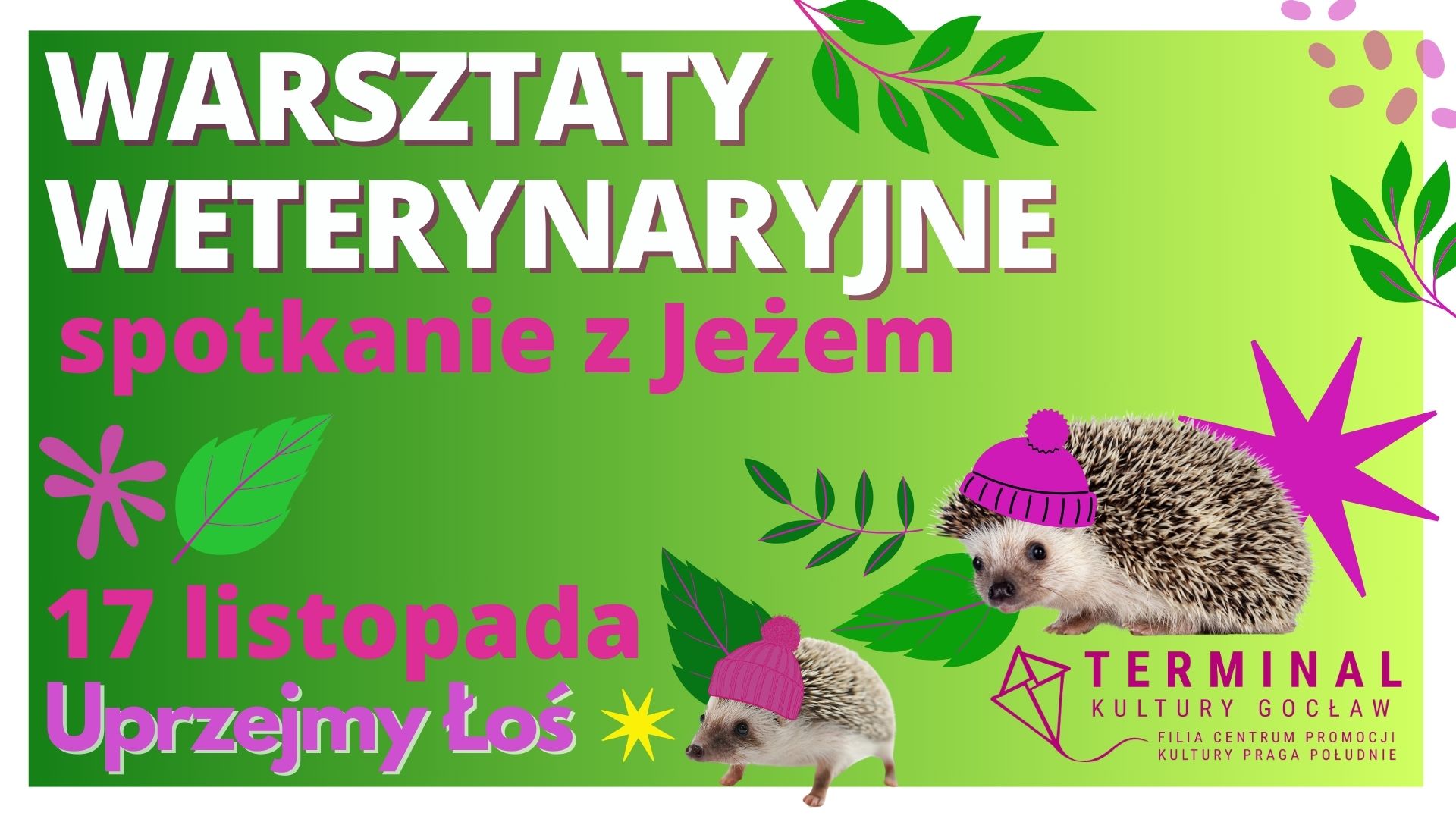 Warsztaty weterynaryjne - spotkanie z Jeżem