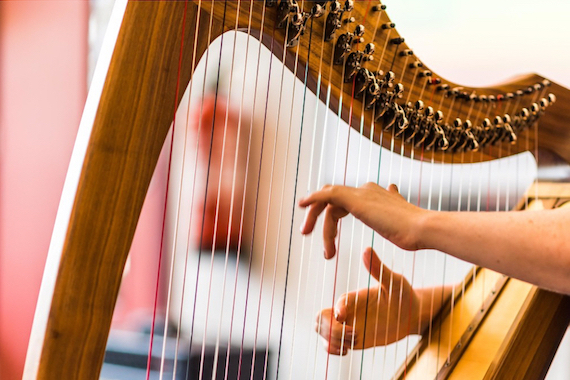 Nauka gry na harfie - D. Bienia